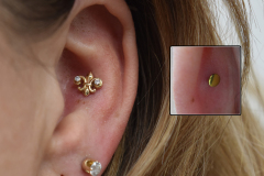 12g-14kt-fleur-de-lis-conch