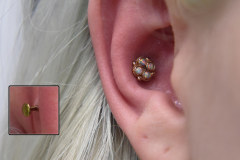 14kt-Opal-Conch