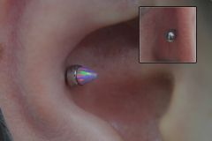 Anatometal-Bullet-Conch