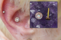 BodyGems-gold-inner-conch