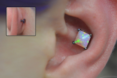 Clawset-opal-conch